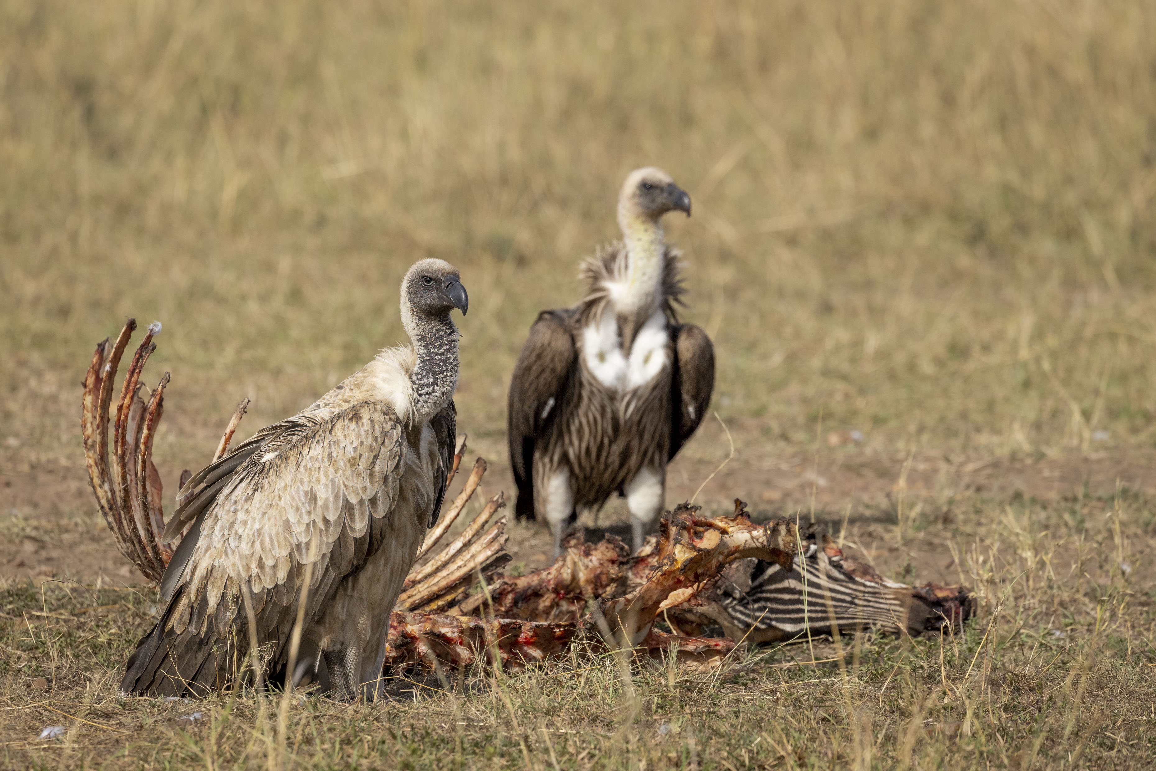 November 10, 2022-085818-2-Edit.jpg